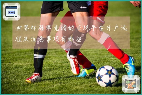 世界杯冠军竞猜的正规平台开户流程及注意事项有哪些